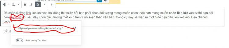 Hướng dẫn chèn link vào từ khóa cơ bản cho SEO