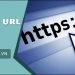 Link trần là gì ? Tìm hiểu về Link trần