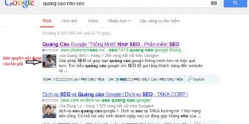Seo Từ Khóa Với Thuật Toán Google Panda Năm 2013
