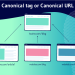 Canonical Link là gì? Tối ưu hoá Canonical URL cho website