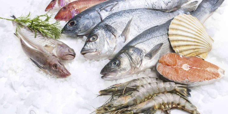 hải sản đông lạnh